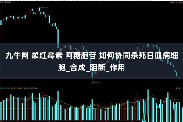九牛网 柔红霉素 阿糖胞苷 如何协同杀死白血病细胞_合成_阻断_作用